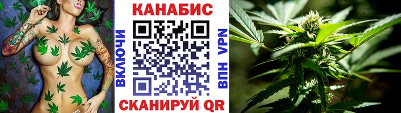 Марихуана сатива Карачев